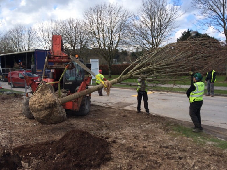 Noblewood Garden Store