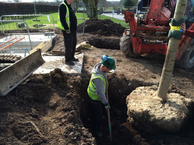 Noblewood Garden Store