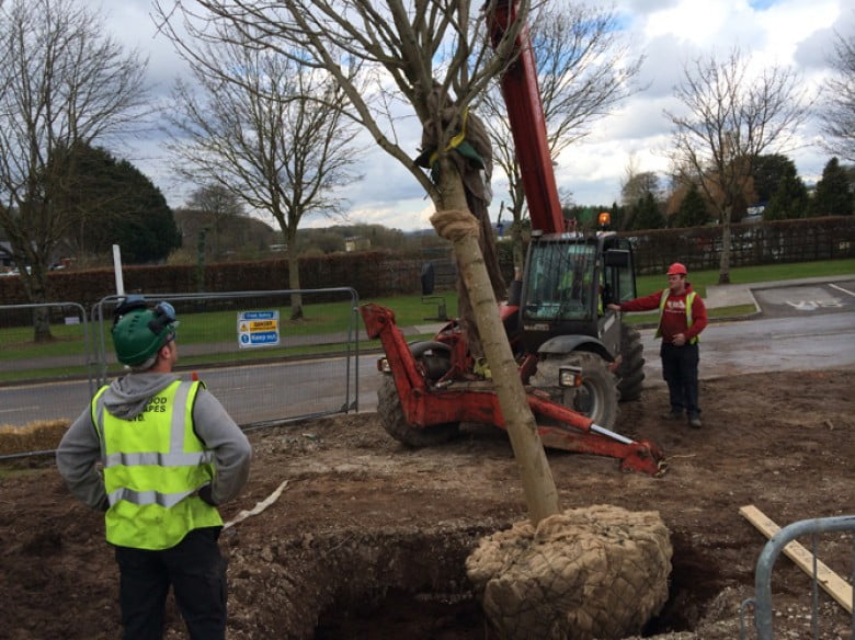 Noblewood Garden Store