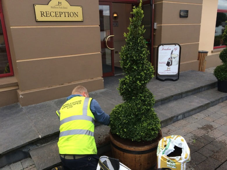 Noblewood Garden Store