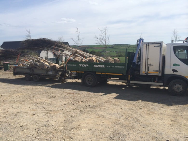 Noblewood Garden Store