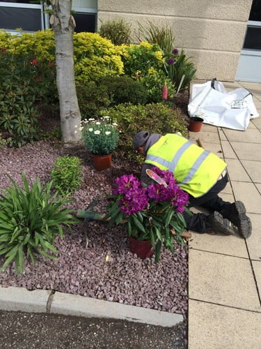 Noblewood Garden Store