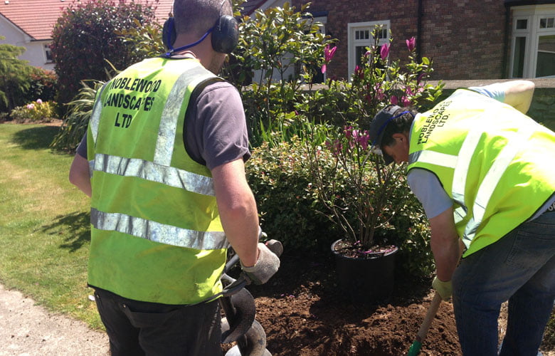 Noblewood Garden Store