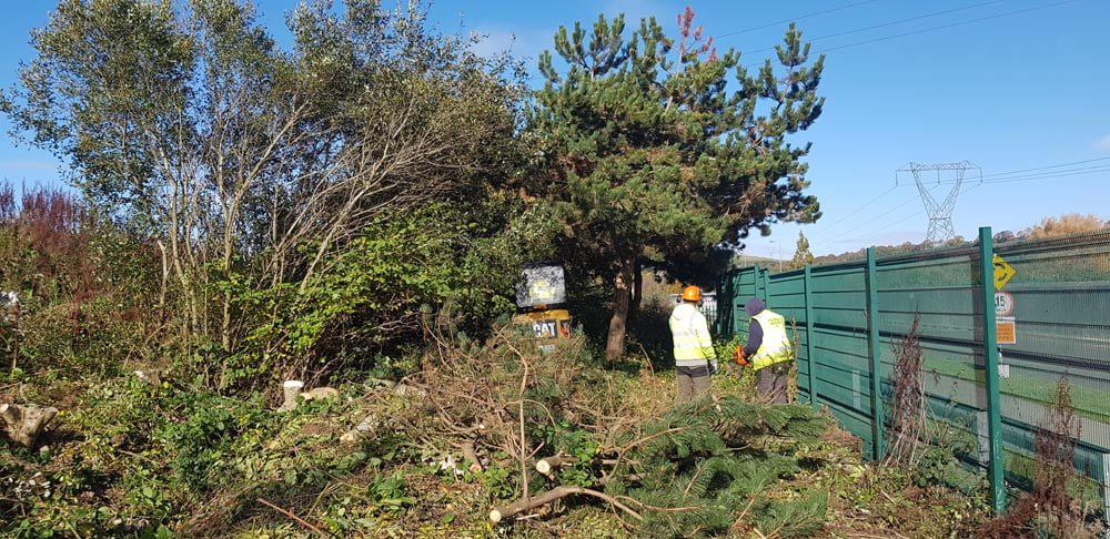 Noblewood Garden Store