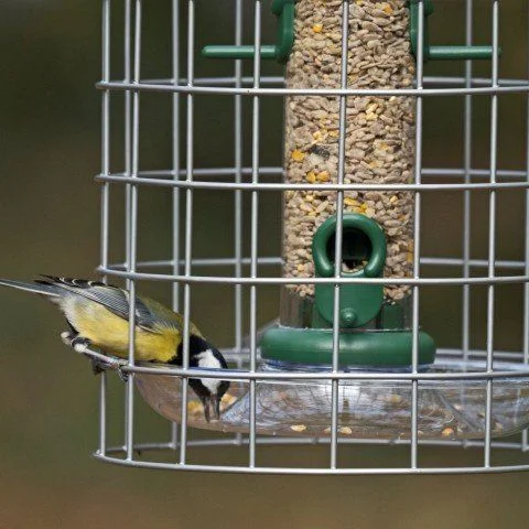 Caged Seed Feeder - Image 2