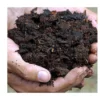 Premium Horse Manure