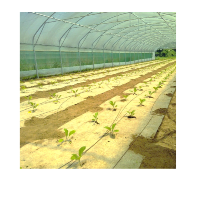 Organic Hemp Mulch Mat Noblewood Garden Store