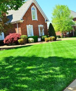 Lawn Care / Seed