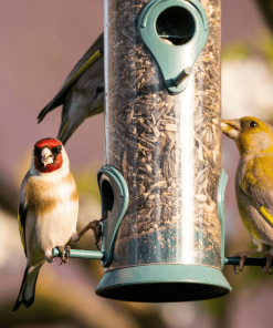 Bird Food & Animal Products