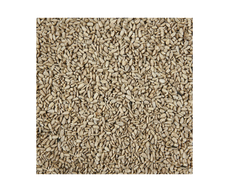 Sunflower Hearts 5kg tub Noblewood Garden Store