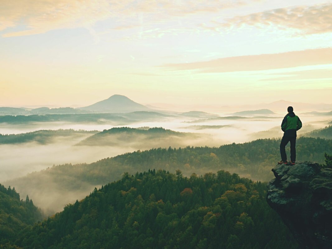 Noblewood Garden Store