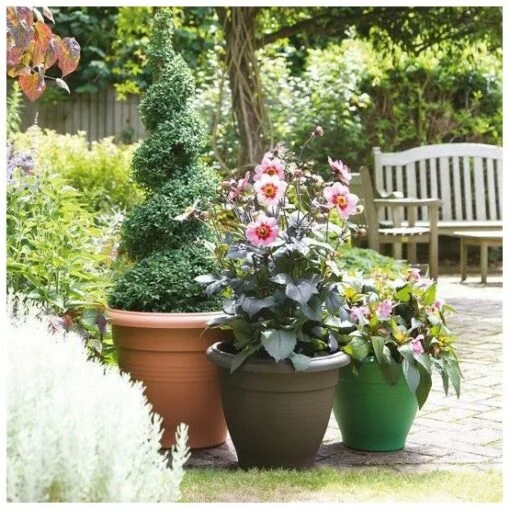 Palladian Planter - Image 2