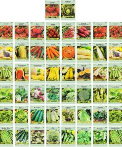 Seeds