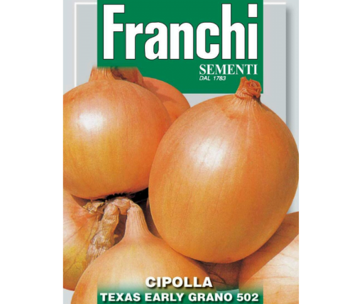 Onion Texas early grano 502