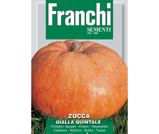 Pumpkin (4)