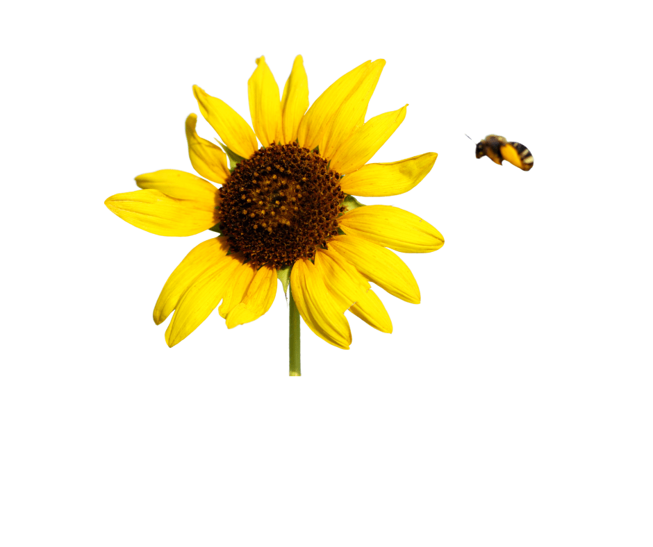 Noblewood Garden Store