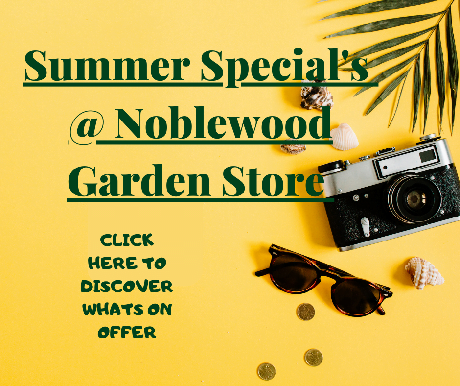 Noblewood Garden Store