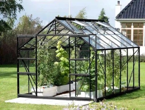 GreenHouse JUPITER 6700 (8′x8′) - Image 5
