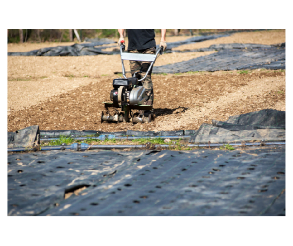 Noblewood Garden Store