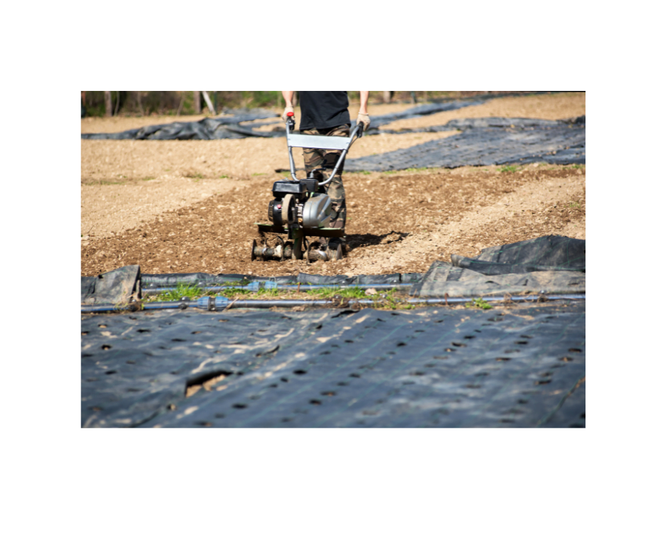 Noblewood Garden Store