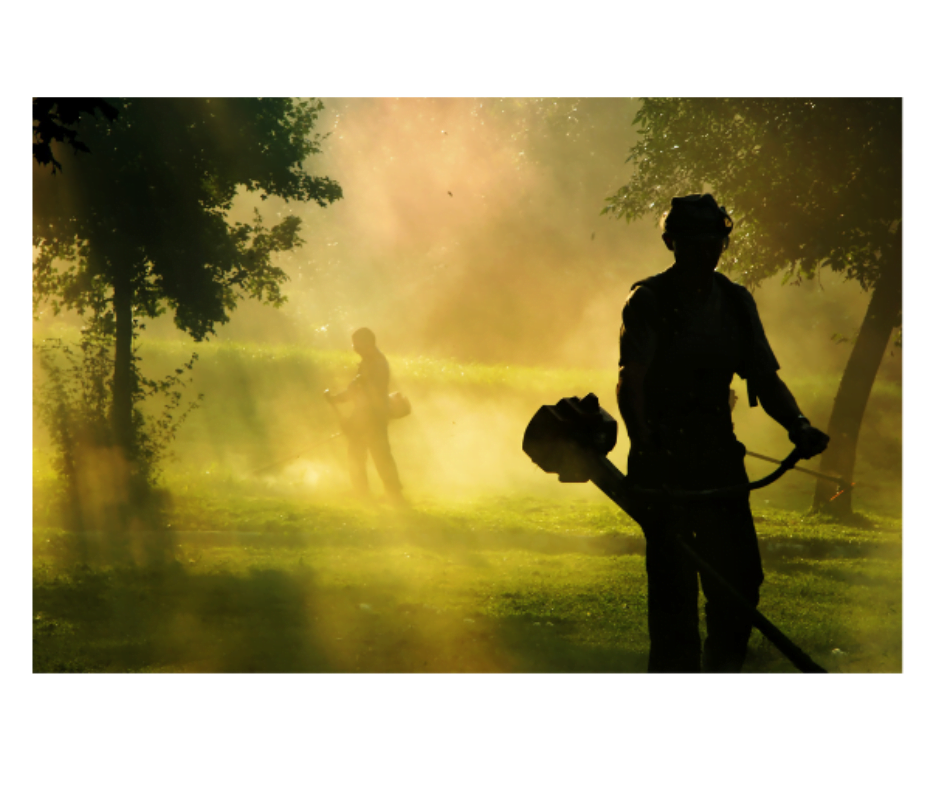 Noblewood Garden Store