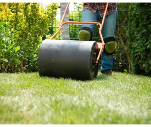 Garden Roller - Image 2