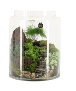 Garden in a Bowl
