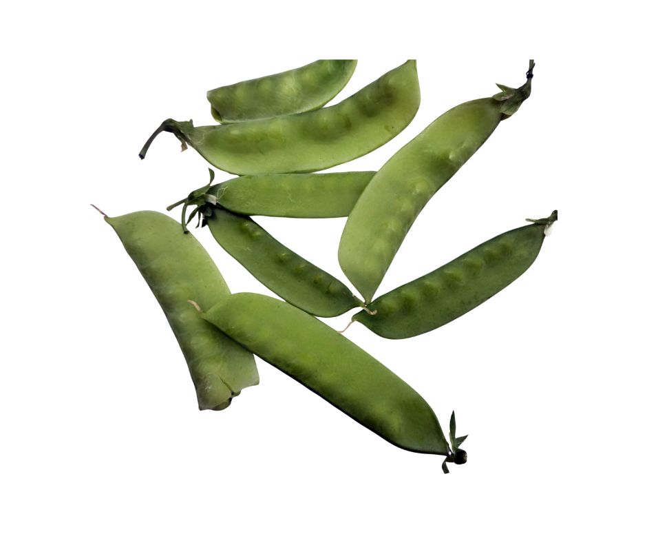 Noblewood Garden Store