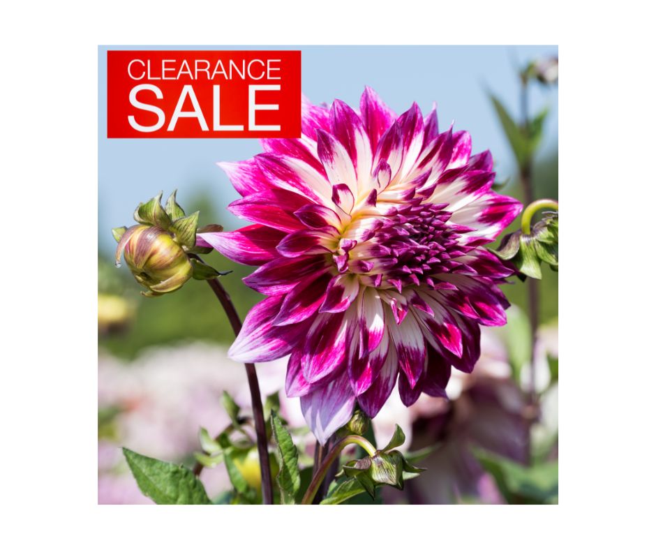 Noblewood Garden Store