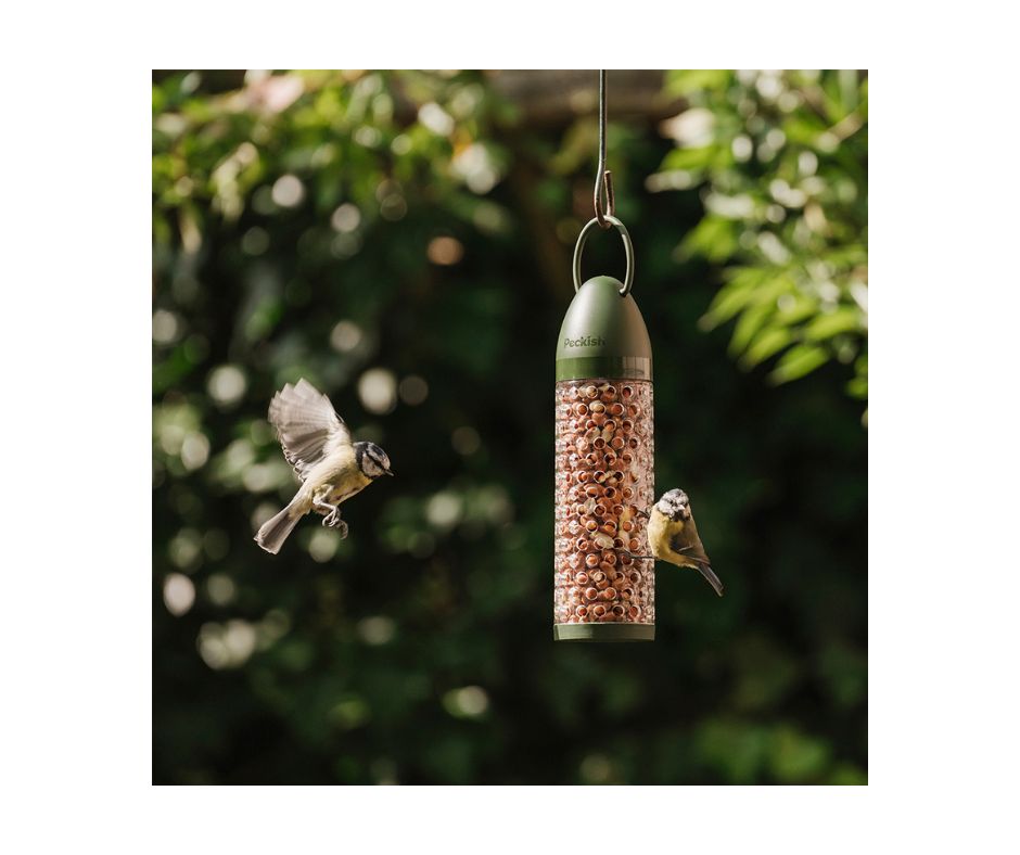 Peckish Peanut Feeder - Image 2