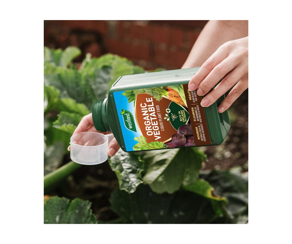 Westland Organic Vegetable Liquid Plant Food 1L - Image 2