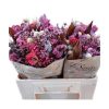 Dried Flower Bouquet Lavender