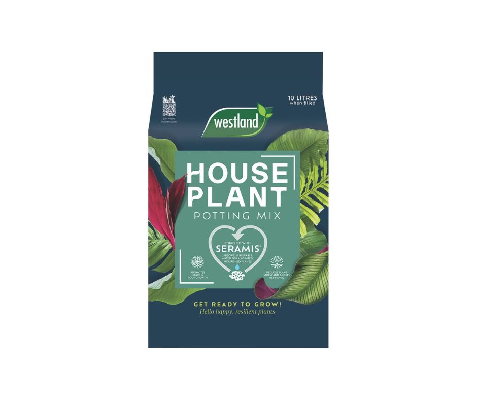 Westland Houseplant Mix