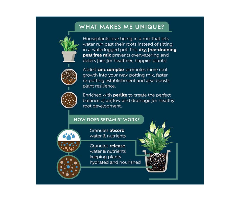 Westland Houseplant Mix - Image 2