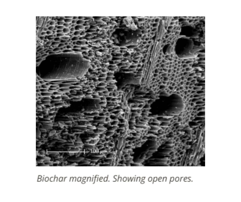 Biochar - 10kg Bag - Image 2